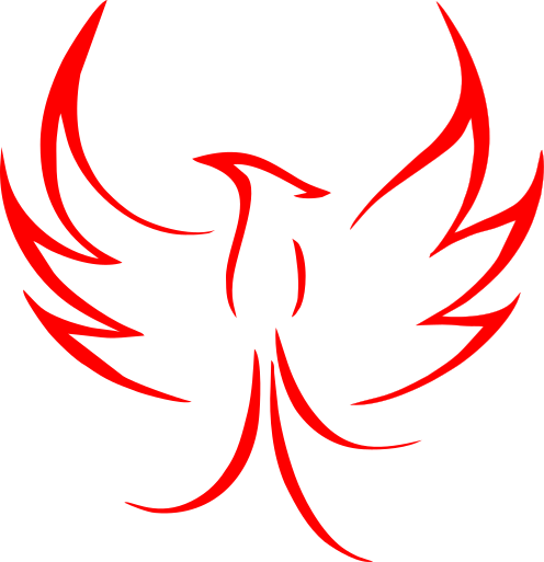 TUM Phoenix Robotics